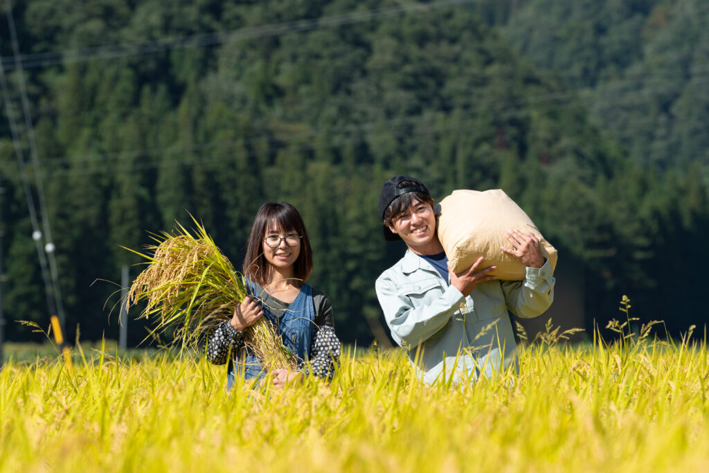 みつわ農園の男女のスタッフがお米を抱えて稲がいっぱいの田んぼにいる。
